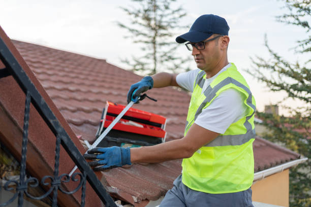 Best Crawl Space Insulation  in Oak Lawn, IL